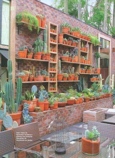 Cactus Garden Screen 3