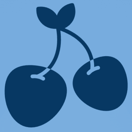 Blueberry Novel logo