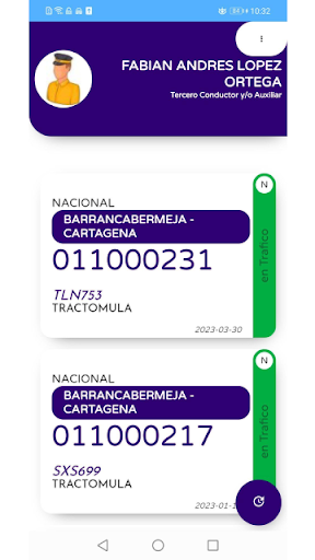 Gestion Despacho Plexa Screen 2