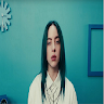 The Billie Eilish Quiz.