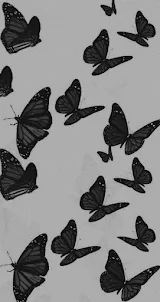 Butterflies wallpapers
