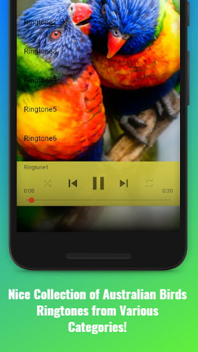 Australian Birds Sounds Screen 2