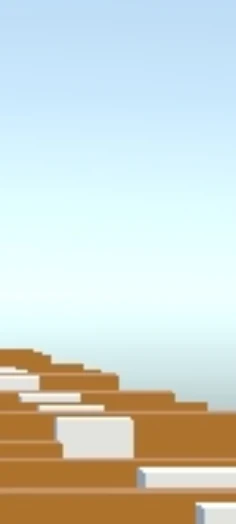 Run SalmanDirag21  Game 3D - Screenshot 1
