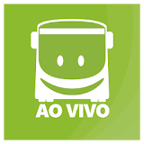 Onibus ao Vivo - Transporte icon