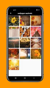 fall wallpaper iphone