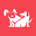 MatchDog: Citas para perros