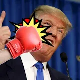 Punch Trump icon