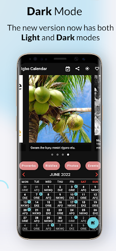 Igbo Calendar Riddles Proverbs