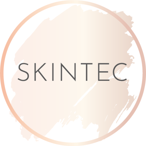 Skintec Download on Windows