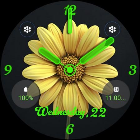 ART035 Flower Watch Face screenshot 30