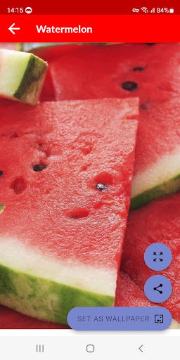 Watermelon Wallpapers