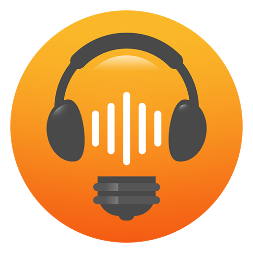 Soundwise Audio  Icon
