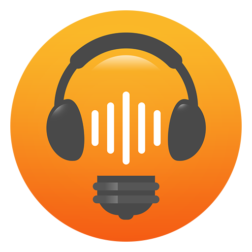 Soundwise Audio Logo
