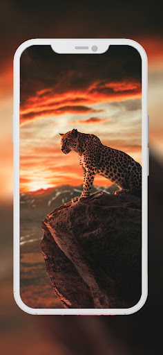 Screenshot of Lion Wallpapers HD - EpicWalls