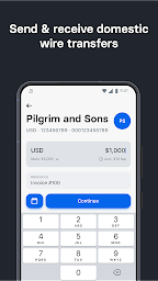 Revolut Business