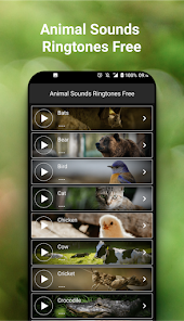 Animal Sounds Ringtones - Apps on Google Play