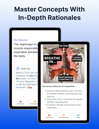 Logo https://play-lh.googleusercontent.com/38NI3z0wzuqh-nSFpoaEnHsTvyJQkaO2iAcTDCadajtKSVNWukmhIKfuPOsj71BCJOrQ