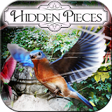 Hidden Pieces: Aviary icon