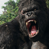 Mad Gorilla Simulator : Hunter icon