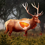 Deer Target Hunting - Pro Apk