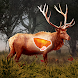 Deer Target Hunting - Pro