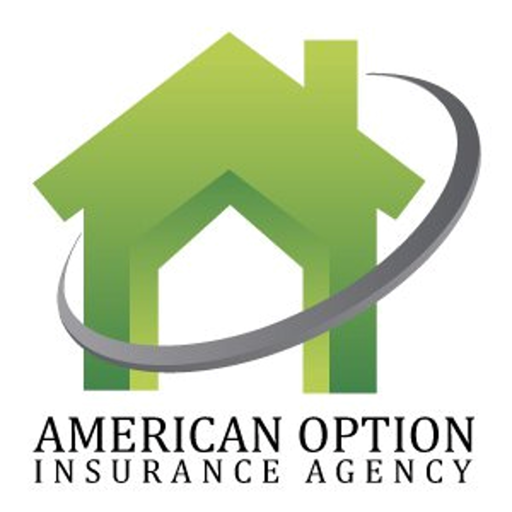 American Option Insurance logo