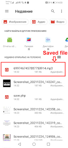 Tik Tok downloader video/audio Screenshot 3 - AppWisp.com