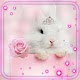 Bunny Princess Live Wallpaper دانلود در ویندوز