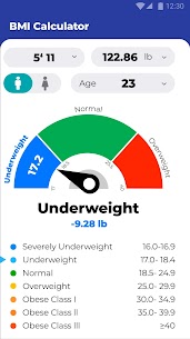 BMI Calculator – Ideal Weight 8