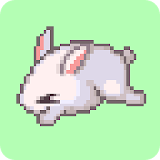Catch de Bunny icon