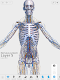 screenshot of Visual Anatomy 3D - Human body