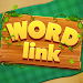 Word Link Icon