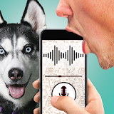Dog language translator joke icon