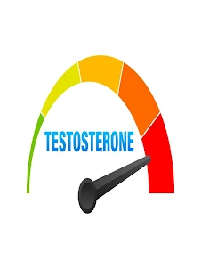 Boost Testosterone Exercices