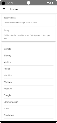 Dahoam 4.0 - Wischapp Screen 3