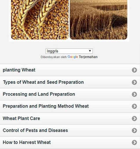 Android application how to grow wheat screenshort