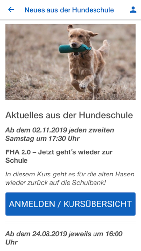 Hundeschule-DHK Screen 3