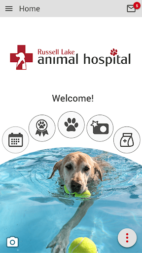 Android application Russell Lake Vet screenshort