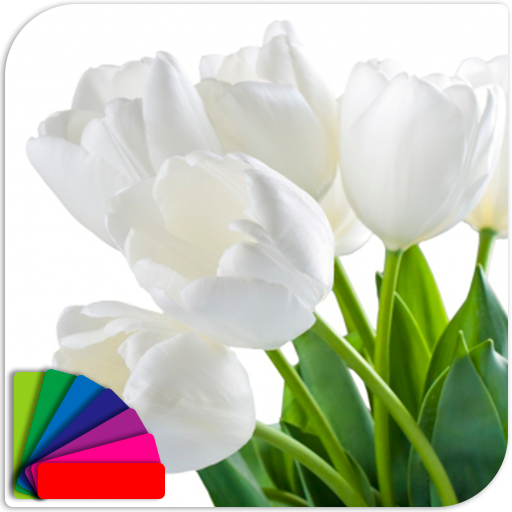Theme - Tulips 1.0.0 Icon