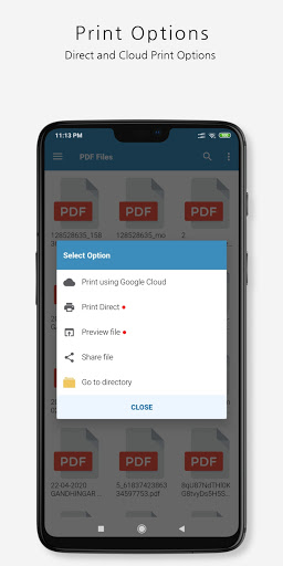 Print From Anywhere Pro