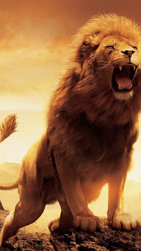 Lion Wallpapers Screen 2