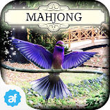 Hidden Mahjong: Aviary icon