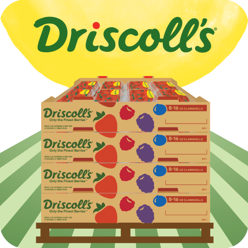 Pallet Builder logo