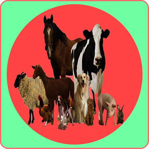 Animal anatomy physiology logo