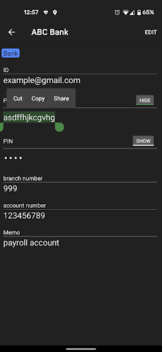 MasterKey -Password Manager- Screen 3
