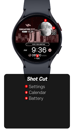 SamWatch Scenery 2024 SIN Screen 3