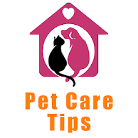 Pet Care Tips