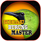 Chirping Bird Master icon
