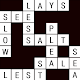 Fill-In Crosswords : Amazing Puzzle