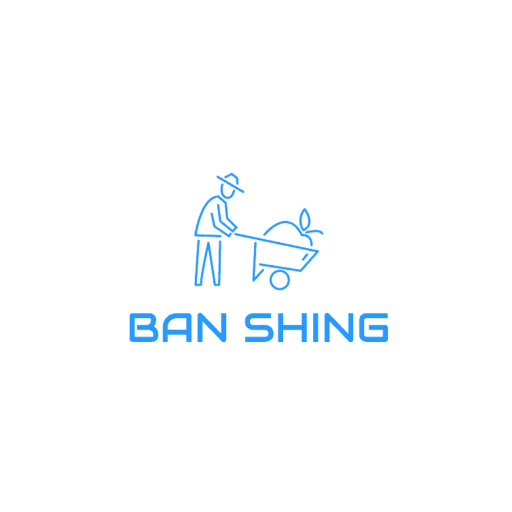 Banshing logo